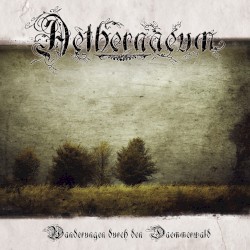 Wanderungen durch den Daemmerwald