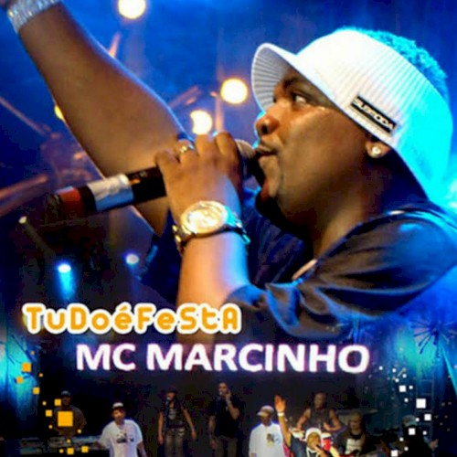 Tudo é festa (ao vivo)
