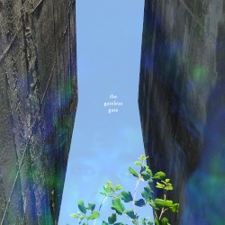 The Gateless Gate