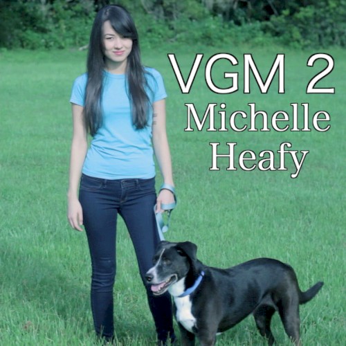 VGM 2