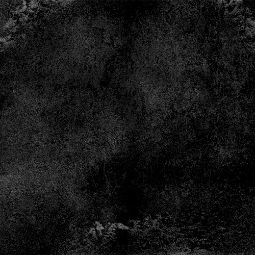 In the Shadow of Your Shadow