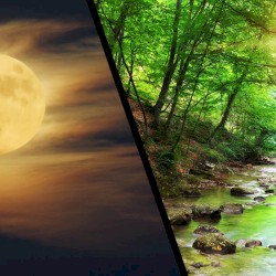 Night Into Day