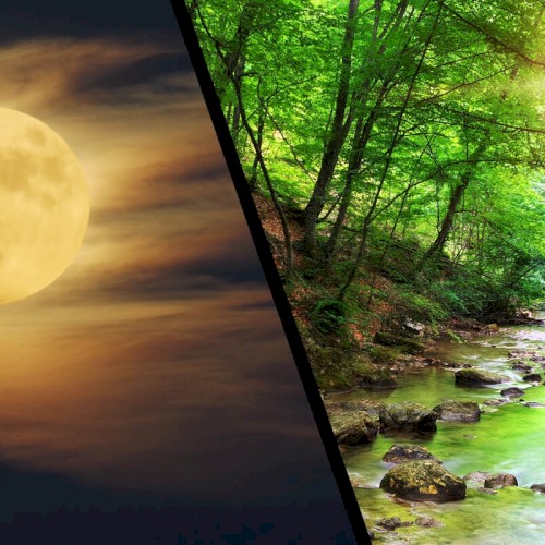 Night Into Day