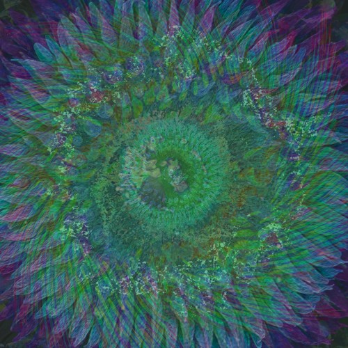 Anemone Nebula