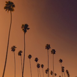 Demos For LA