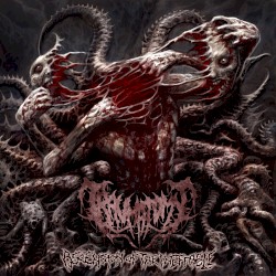 Ascension of the Ineffable