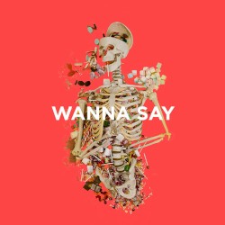 Wanna Say