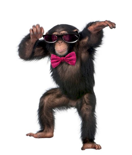 The Monkey Dance