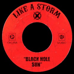 Black Hole Sun