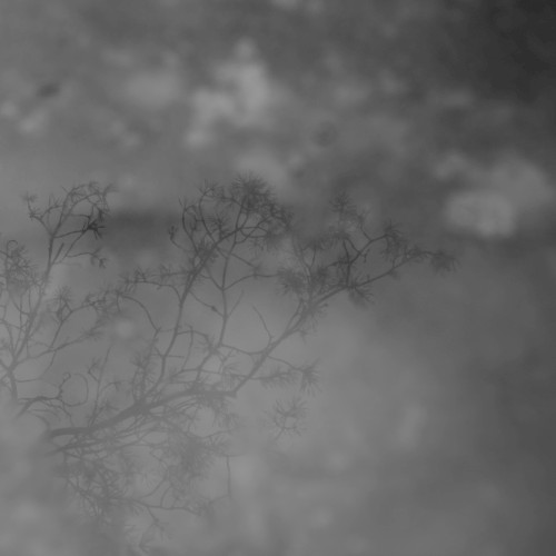 Spatial Sense