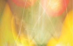 Anamnesis