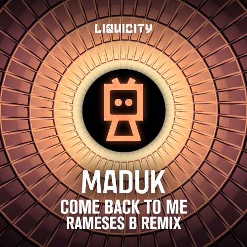 Come Back to Me (Rameses B remix)