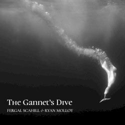 The Gannet’s Dive