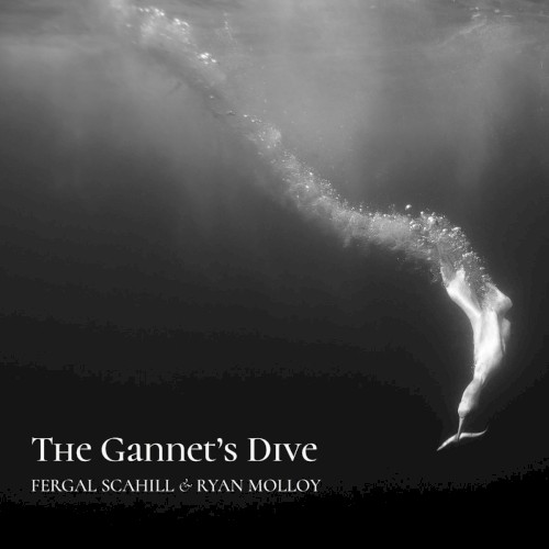 The Gannet’s Dive
