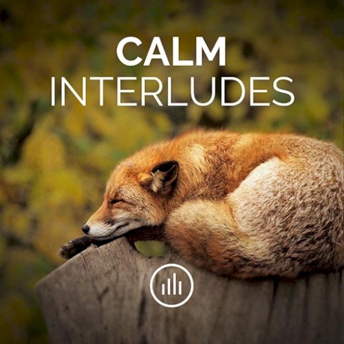 Calm Interludes
