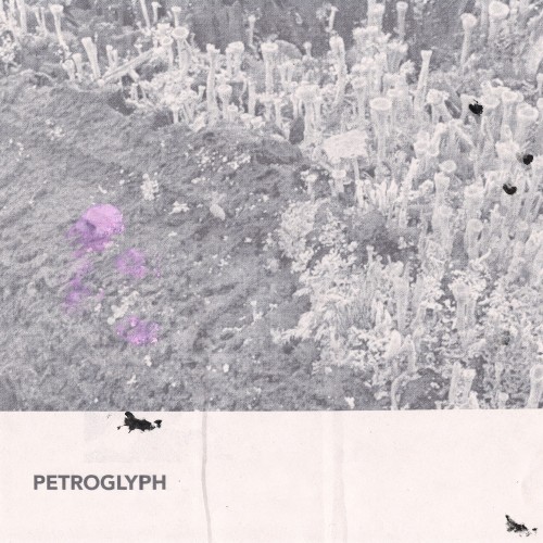 petroglyph