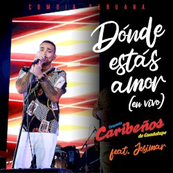 Dónde estás amor