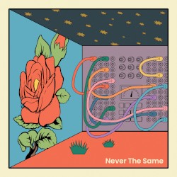 Never the Same