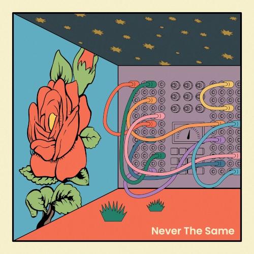 Never the Same