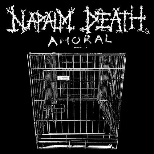 Amoral