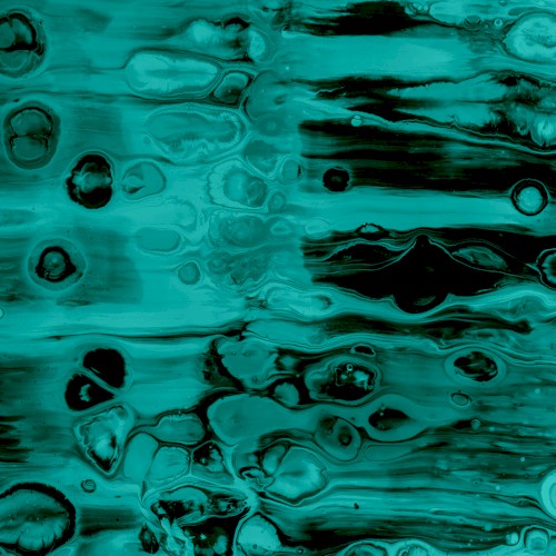 Cellular EP