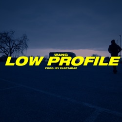 Low Profile