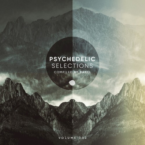 Psychedelic Selections, Vol. 02