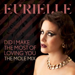 Did I Make the Most of Loving You (The Mole mix)