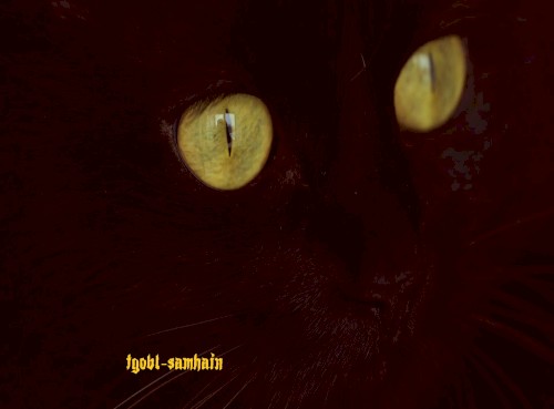 Samhain (instrumental) (2024 extended mix)