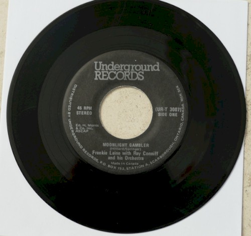 Moonlight Gambler / May the Bird of Paradise Fly Up Your Nose