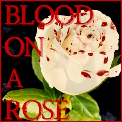 Blood on a Rose