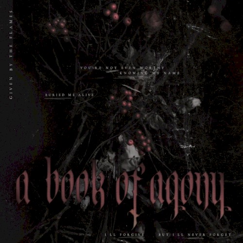 A BOOK OF AGONY