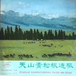 天山青松根连根 Tiyanxan Қariƣaylirining Yiltizi Bir Tutax （维吾尔族歌曲、乐曲）(Uyƣurqə nahxa, muzika)