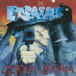 Gerra zikina