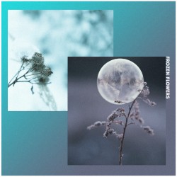 Frozen Flowers