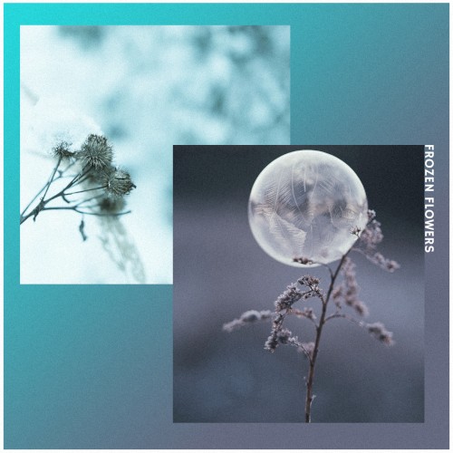 Frozen Flowers