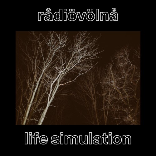 Life Simulation