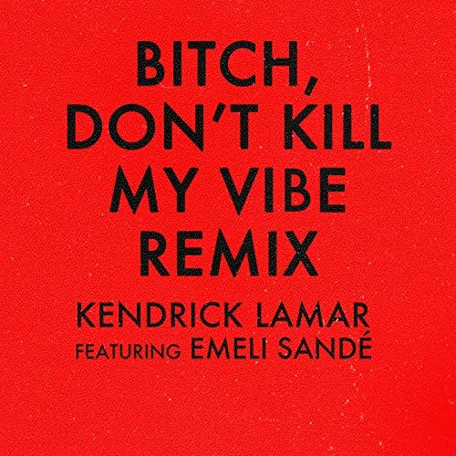 Bitch, Don’t Kill My Vibe (remix)