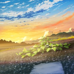 アイビー