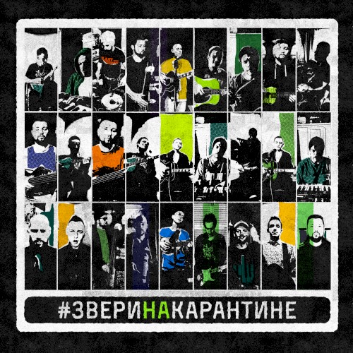 Звери на карантине