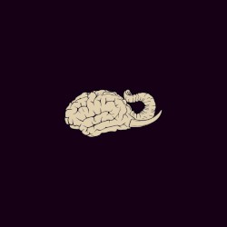 Elephant Brain