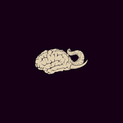 Elephant Brain