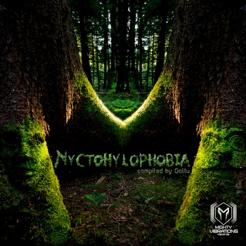Nyctohylophobia