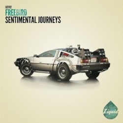 Sentimental Journeys