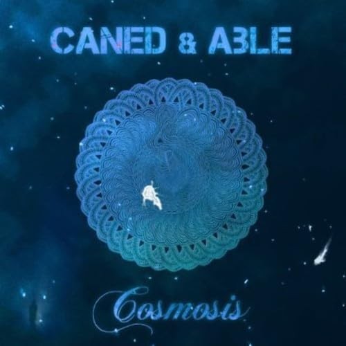 Cosmosis