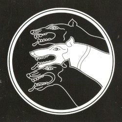 Borzoi