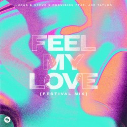 Feel My Love (festival mix)