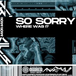 So Sorry Where Was I?