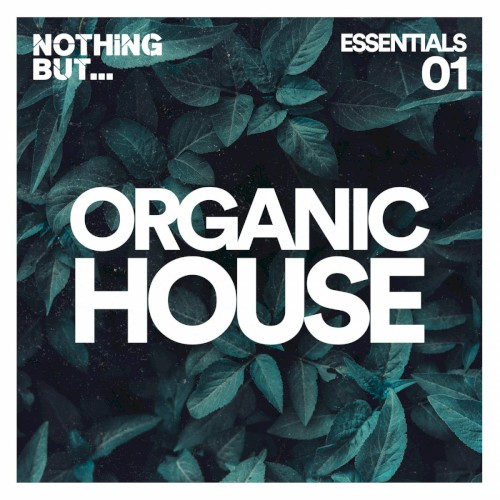 Nothing But… Organic House Essentials, Vol. 01
