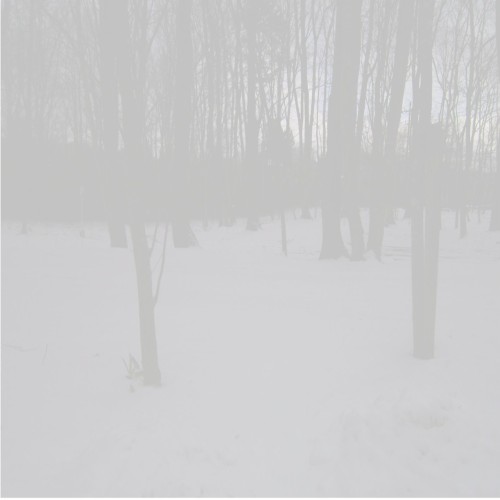 Late February